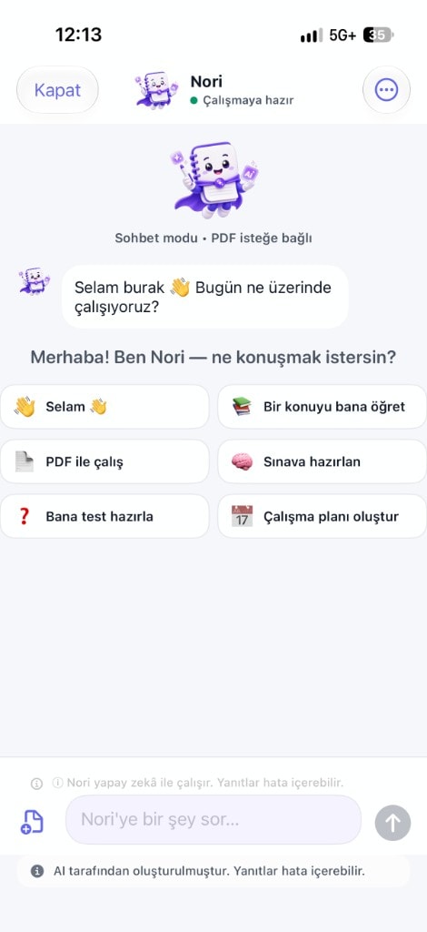PDF Görüntüleyici